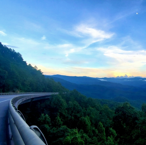 Meet Your Posher | Payton - Picture 3 of 3